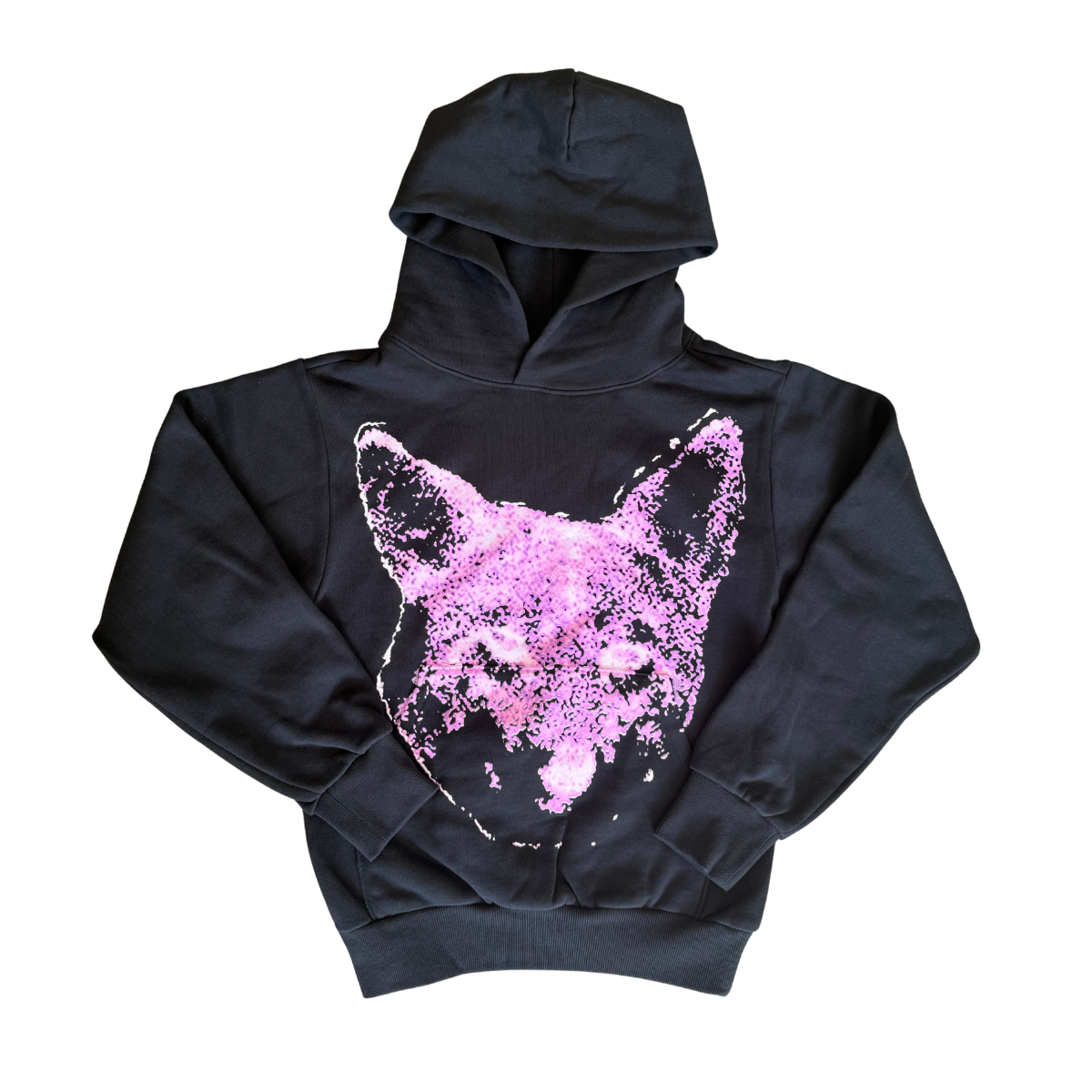 COYOTE TOUR HOODIE