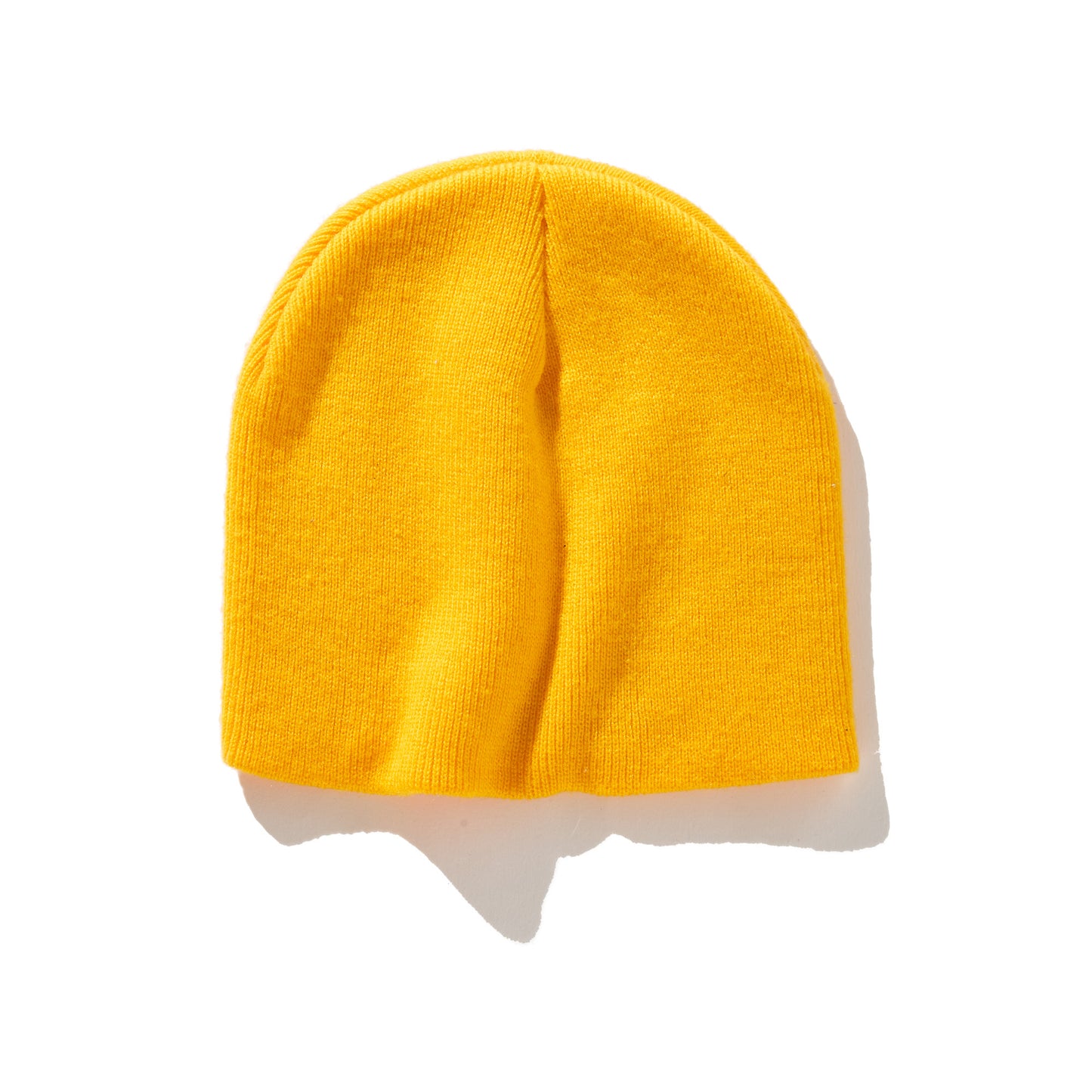 iso Logo Beanie